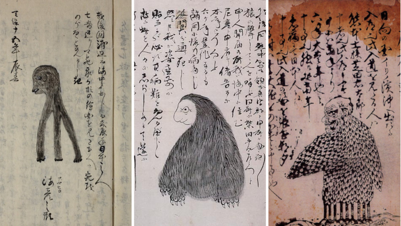 những phiên bản khác của amabie